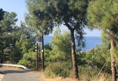 Nea Dimmata, Пафос Жилая земля На продажу | 10301