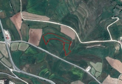 Arodes, Пафос Жилая земля На продажу | 12845