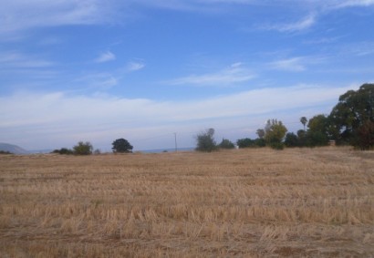 Polis, Пафос Жилая земля На продажу | 12967