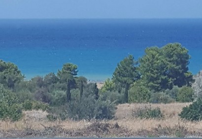 Argaka, Пафос Жилая земля На продажу | 18978