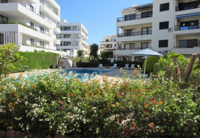 Kato Paphos - Tombs of The Kings Ресторан | 21347