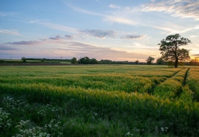 Dromolaxia Сельскохозяйственная земля На продажу | 28659