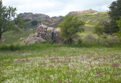 Ineia, Пафос Touristic Land На продажу | 36389