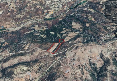 Mousere, Пафос Сельскохозяйственная земля На продажу | 3972