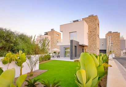 Ayia Napa, Фамагуста Отдельная вилла На продажу | 40196