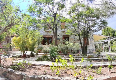 Vavla, Ларнаки Отдельная вилла На продажу | 41441