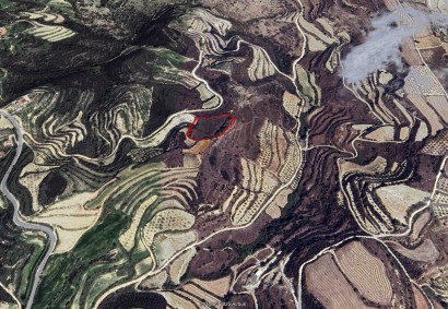 Koili, Пафос Сельскохозяйственная земля На продажу | 45106