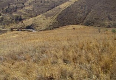 Galataria Сельскохозяйственная земля На продажу | 46515