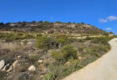 Dora Сельскохозяйственная земля На продажу | 46566