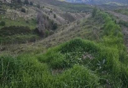 Galataria Сельскохозяйственная земля На продажу | 47208