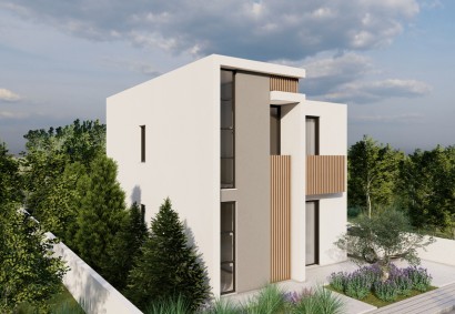 Tremithousa, Пафос Отдельная вилла На продажу | 48738