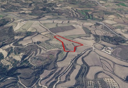 Stroumbi Сельскохозяйственная земля На продажу | 49613